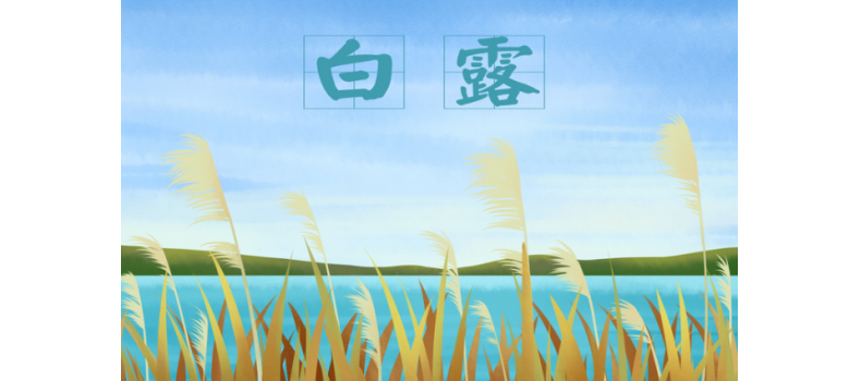 白露來臨，如何有效預防池塘變化？