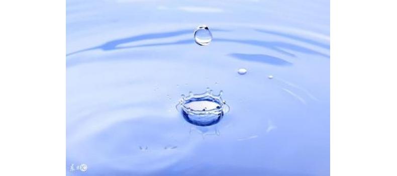 養(yǎng)蝦先養(yǎng)水！養(yǎng)水的關(guān)鍵核心原來是它！